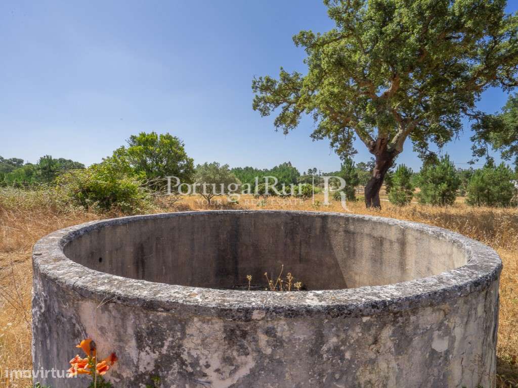 Quinta de 20ha com projeto para Turismo Rural a 1h de Lisboa-19