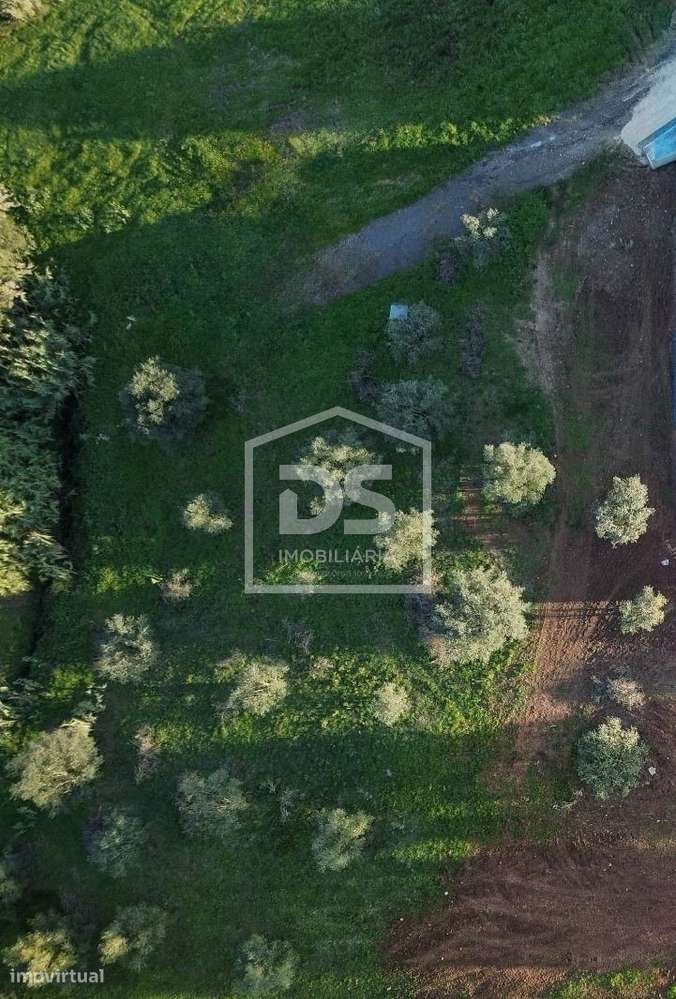 Terreno para Construção  - Santa Eufémia - Boavista - Grande imagem: 3/3