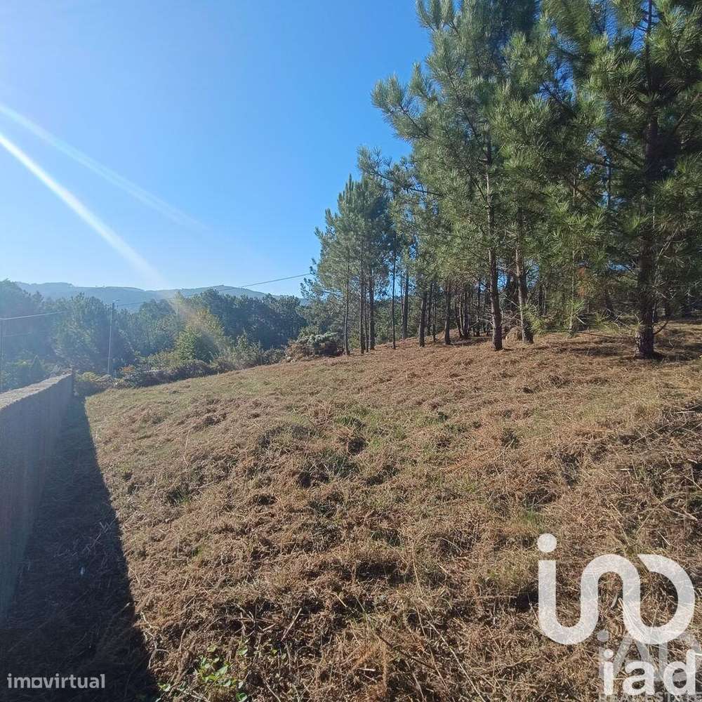 Terreno para construção em Reboreda e Nogueira - Grande imagem: 5/13