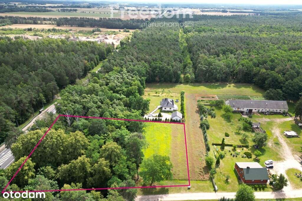 Działka budowlana z własnym lasem | 5804 m² | Hola