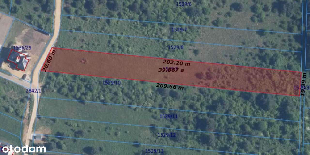 Sprzedam dużą działkę z warunkami zabudowy - Płaza ul. Kossaka-8