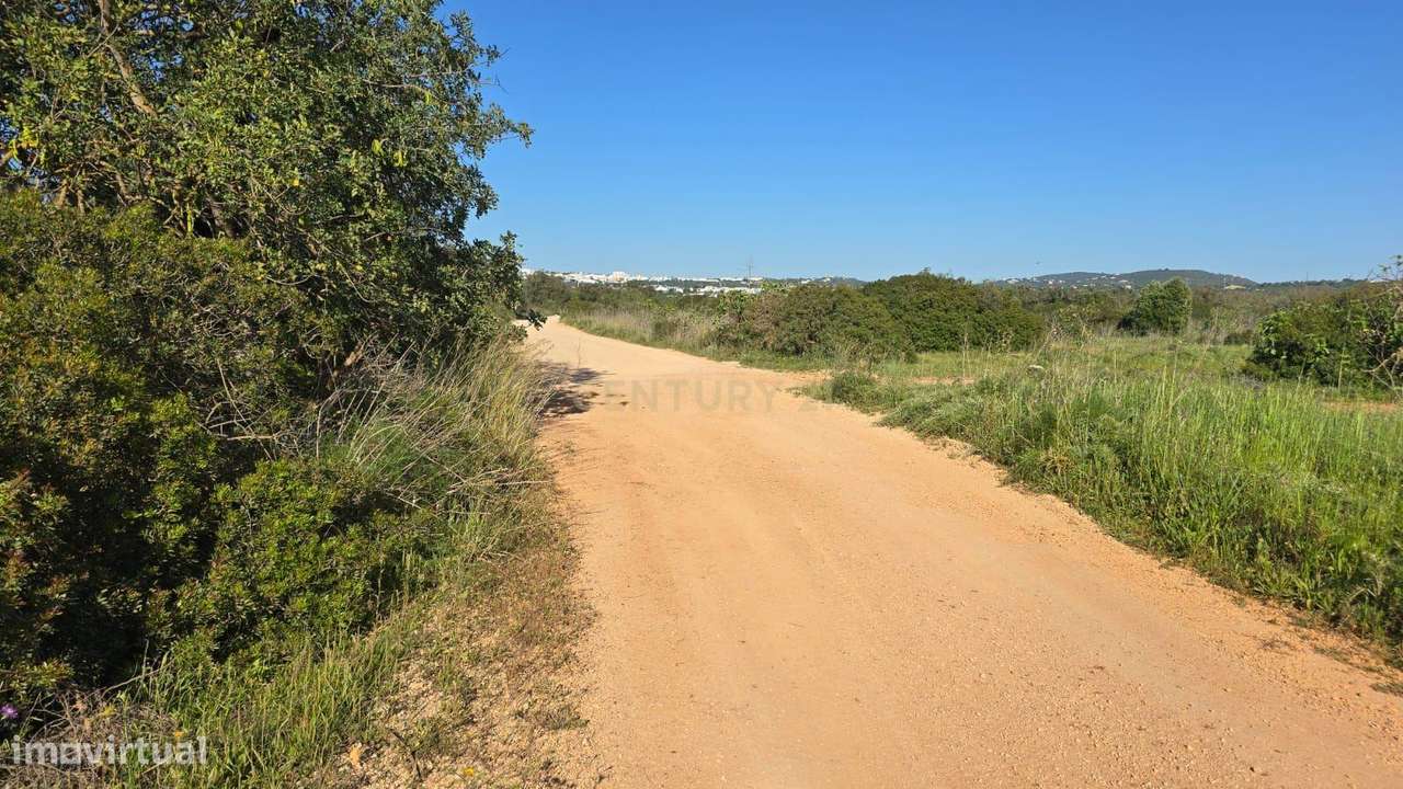 Terreno Rústico com 1900 m2 localizado em Cabeça de Câmara, São Sebast - Grande imagem: 5/6