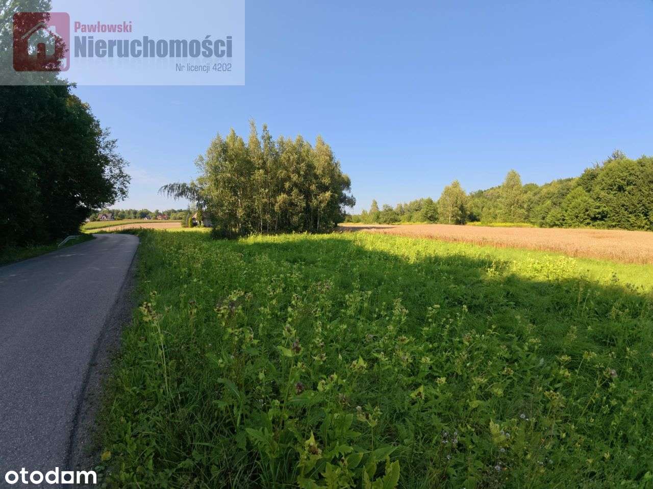 Działka, 3 300 m², Nowe Dwory - Pełny obrazek: 2/6