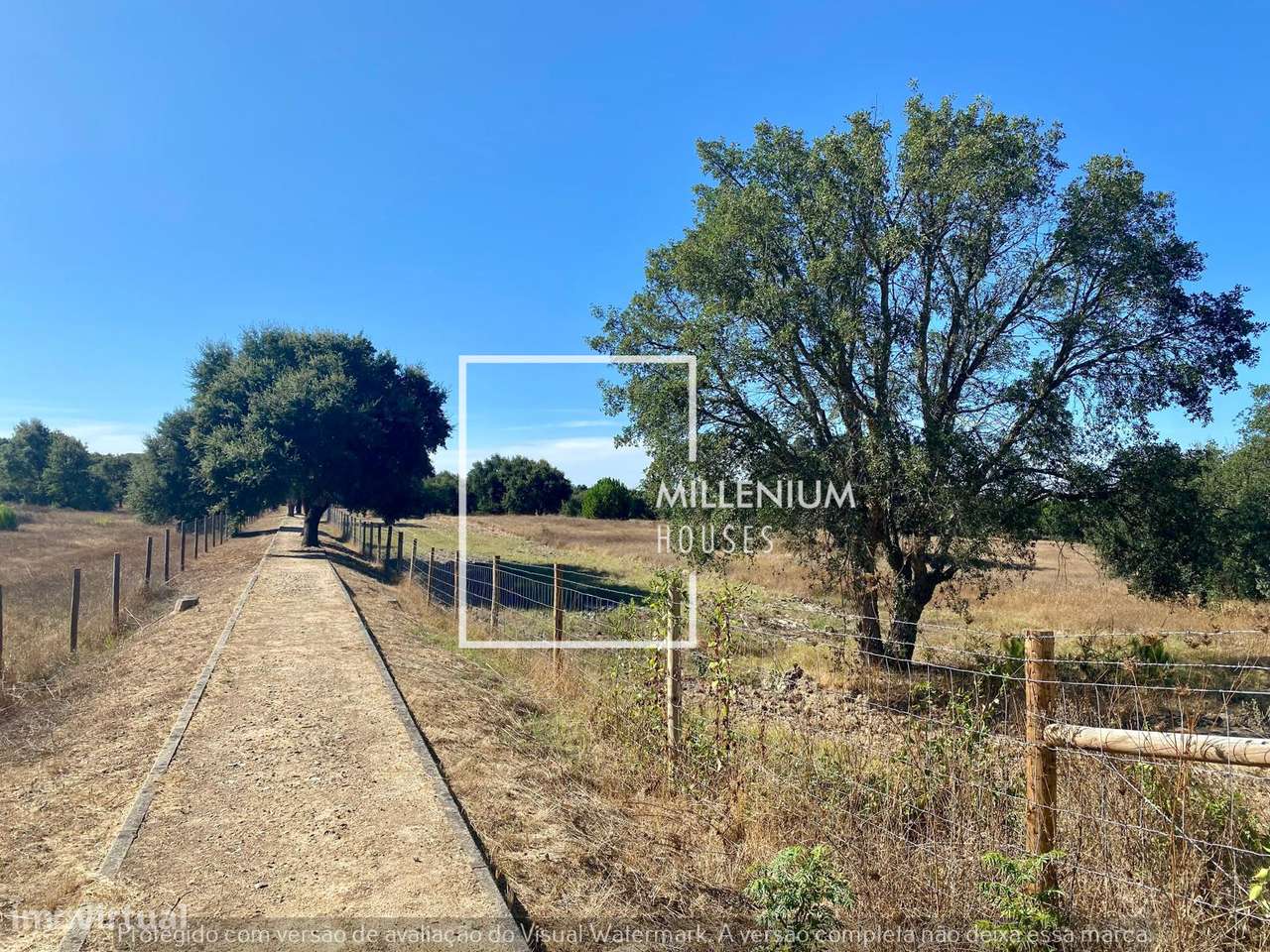 QUINTA 2Hc em Vila Nova de Santo Estêvão | Santo Estêvão GOLFE-5