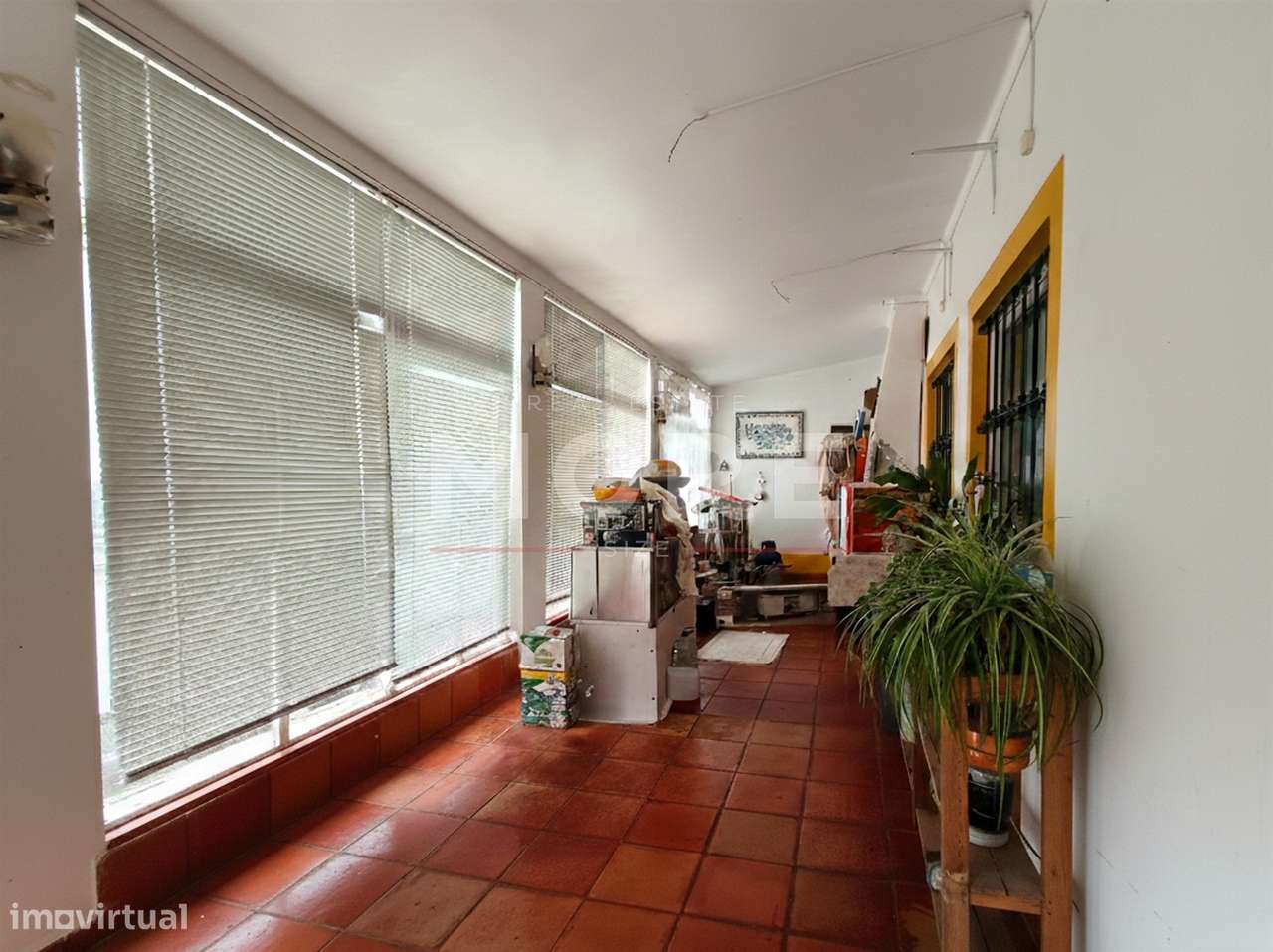 Quinta a 5 km de Évora - Potencial e Tradição!-16