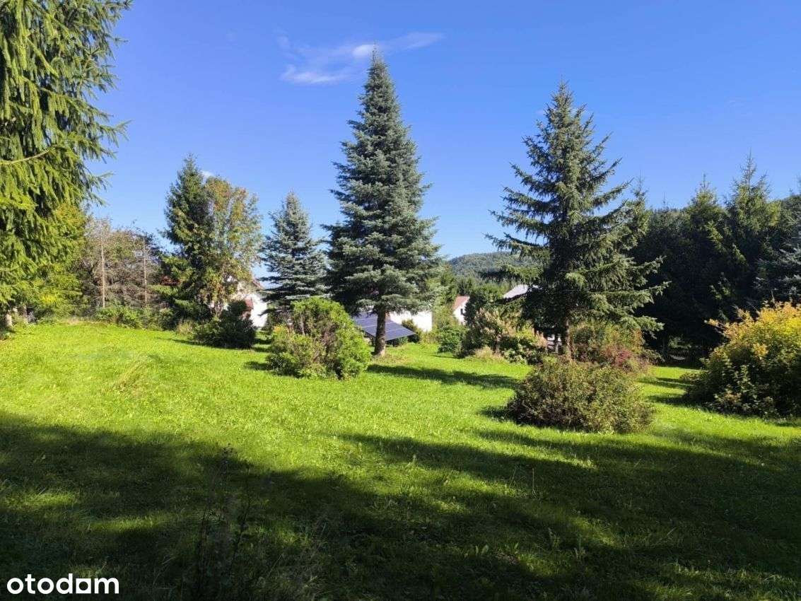 CaŁoroczny Dom W GÓrach--0% Prowizji-16