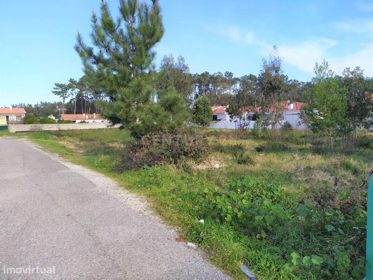 Terreno | Viabilidade Construção| Marinha Grande - Grande imagem: 3/10