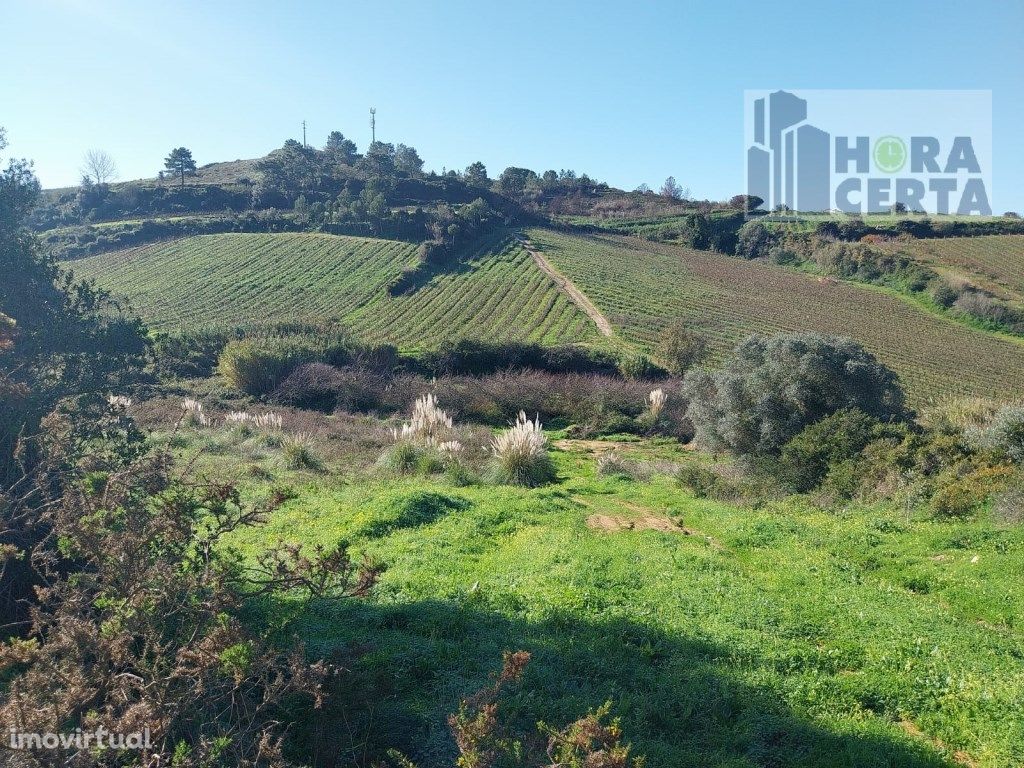 Magnifica Quinta Com 7hectares em Torres Vedras!