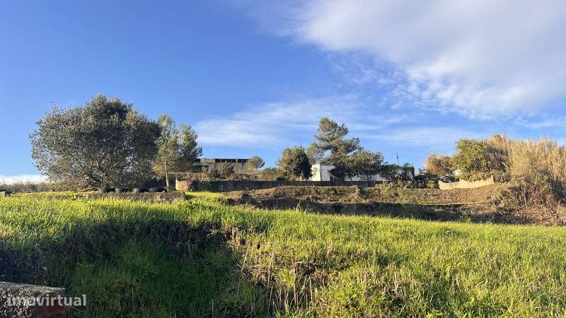 Armazém Com Terreno Rústico 26.200m² - Grande imagem: 2/3