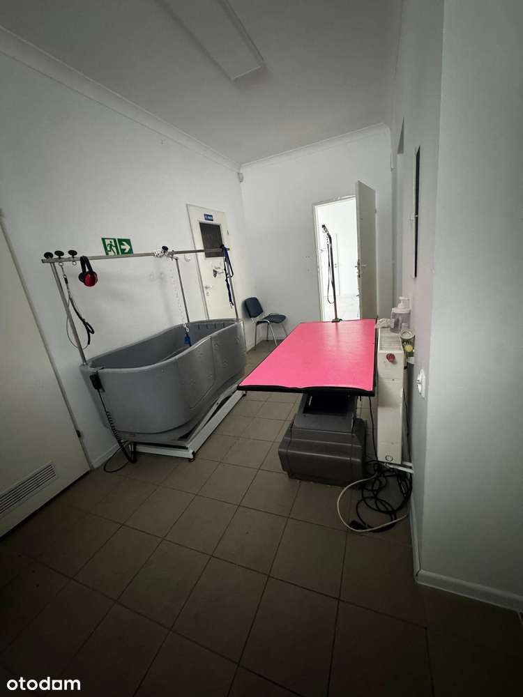 Lokal 200 m2 ok.. Turystycznej - Pełny obrazek: 2/6