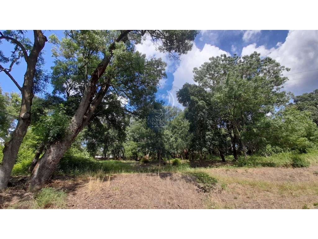 Terreno c 11680m2 p habitação - Grande imagem: 4/6