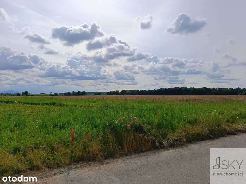 Działka budowlana w Magnicach - Pełny obrazek: 3/8