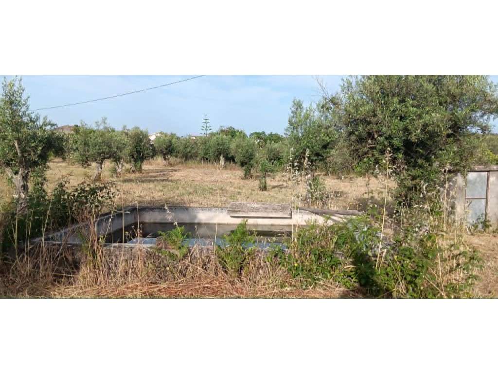 Magnífico Terreno com Viabilidade de Construção no Centro de Mação-16