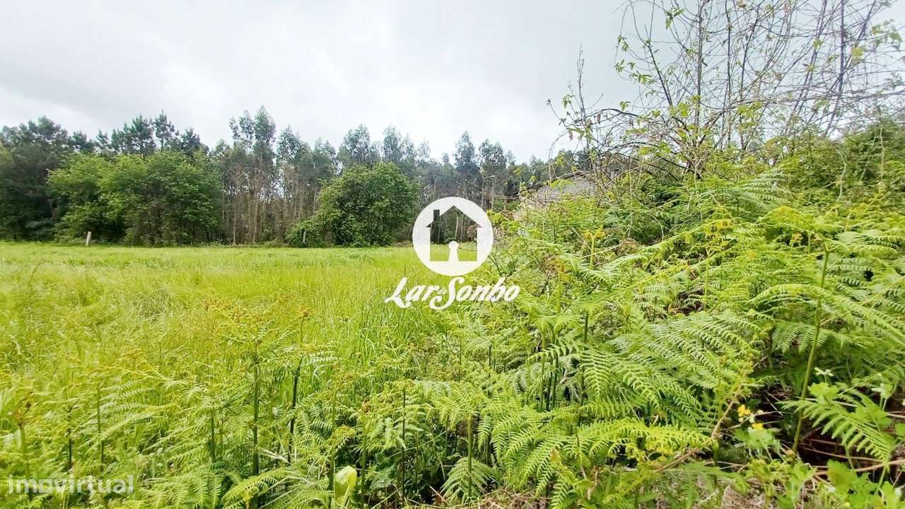 Terreno de 1.250m2 e 29m frente para construção de Moradias em S. P...-6