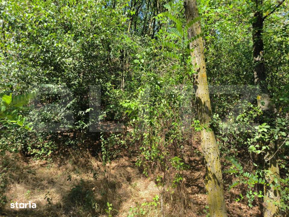 Teren 3000 mp - 1200 mp intravilan, zona Cuparu - Imagine principală: 4/5