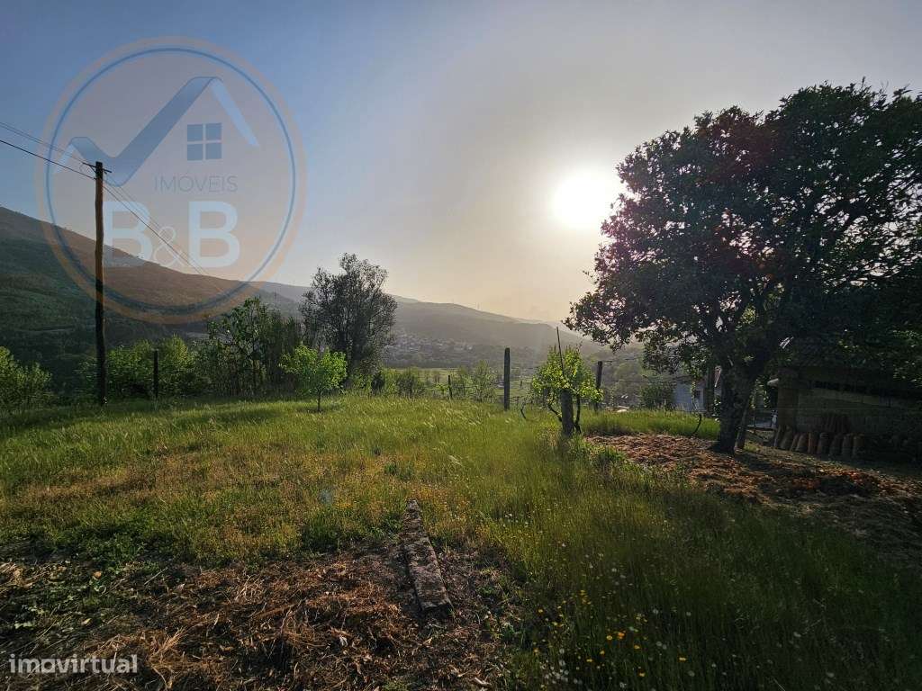 Moradia T4, em pedra, com terreno de 2.366 m² e Espigueiro datado d...-50