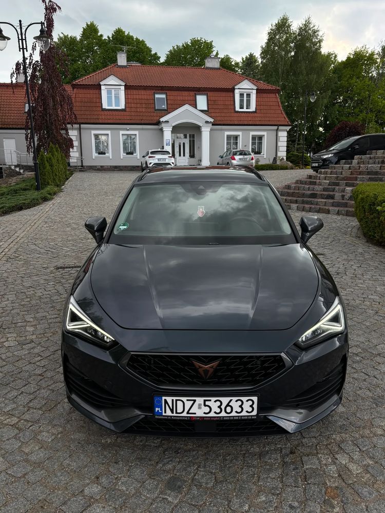 Cupra Leon 2.0 TDI DSG 2023