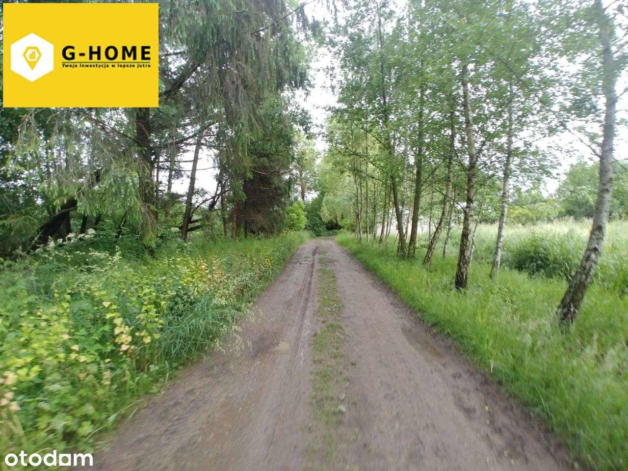 Tereny zielone - Działka z potencjałem-12