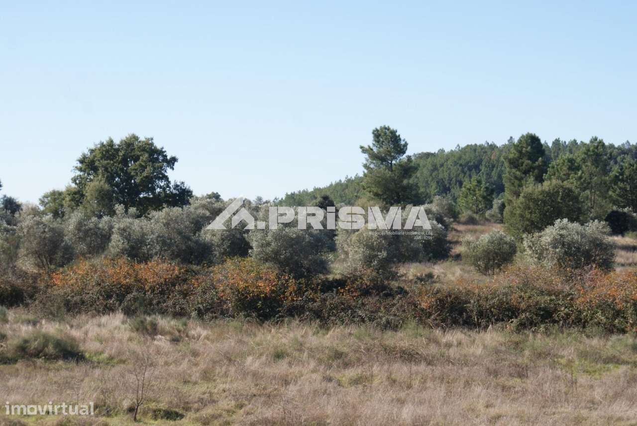 Oportunidade Única às Portas de Castelo Branco!-7