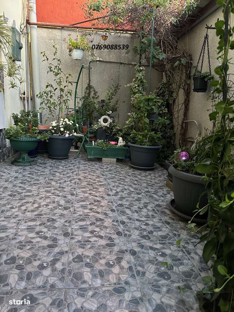 Rahova - Parc Humulesti-7