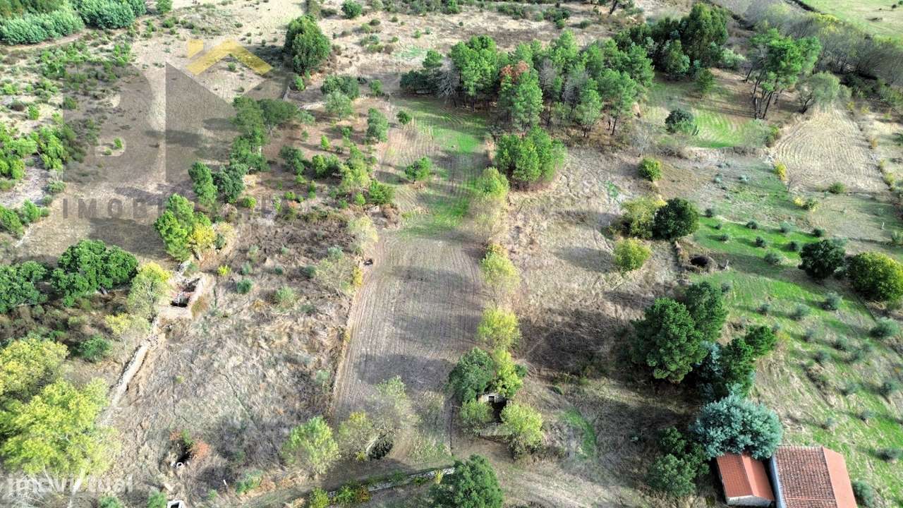 Quintinha  Venda em Póvoa de Rio de Moinhos e Cafede,Castelo Branco-9