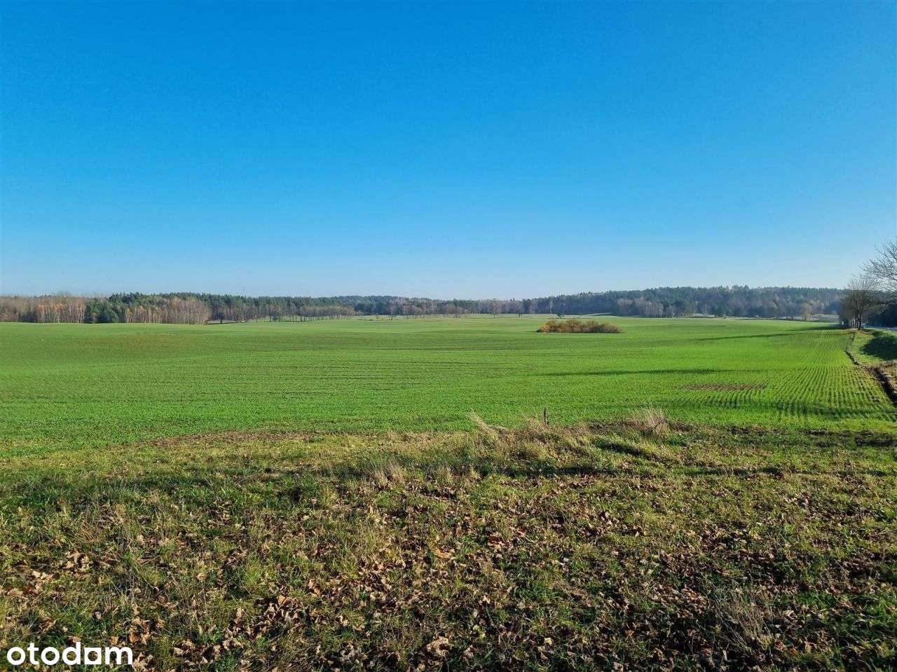 Działka siedliskowa - Krągi-5