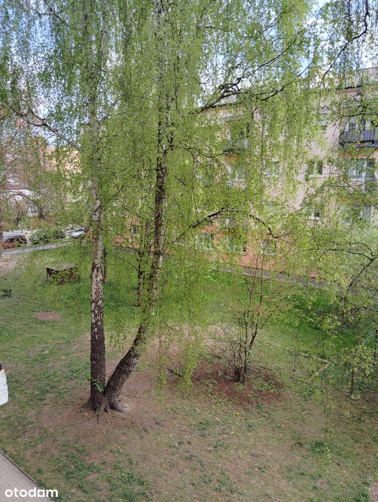 M-3 z balkonem na Dołach na ulicy Brackiej-7