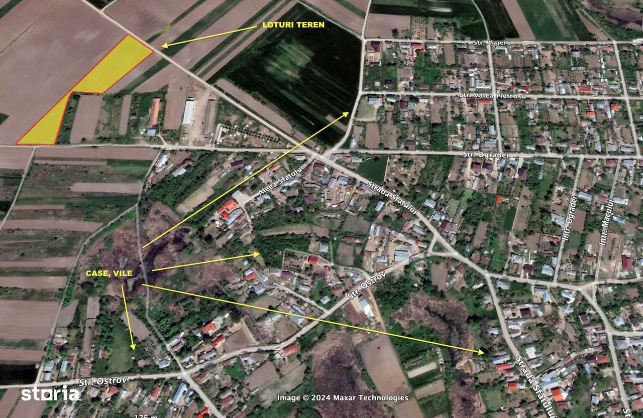 PRET SOC! Loturi Ghimpati, intravilan, utilitati in zona, RATE! - Imagine principală: 2/3