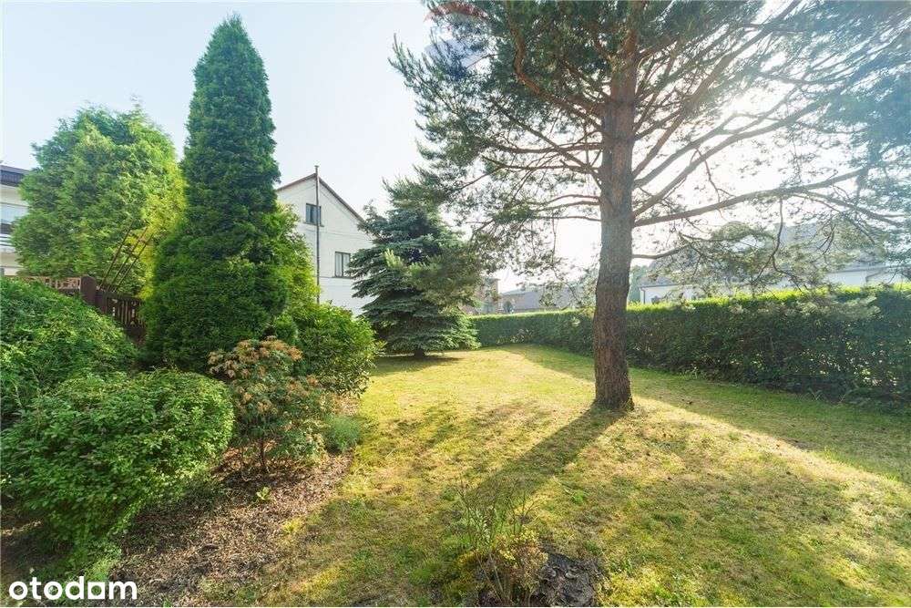 Dom bliźniak - Pełny obrazek: 4/19