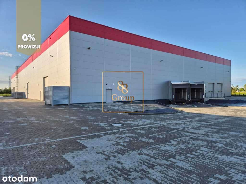 Do wynajęcia magazyn 2600m2 w Lesznowoli k/Pias. - Pełny obrazek: 4/8