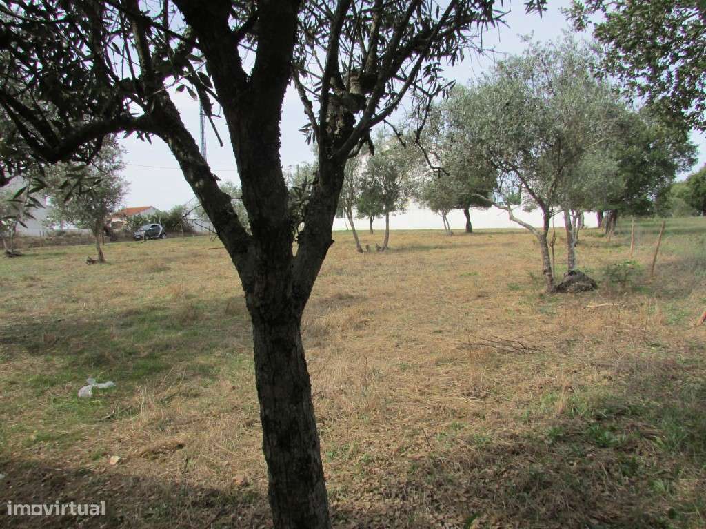 Terreno - Grande imagem: 4/11