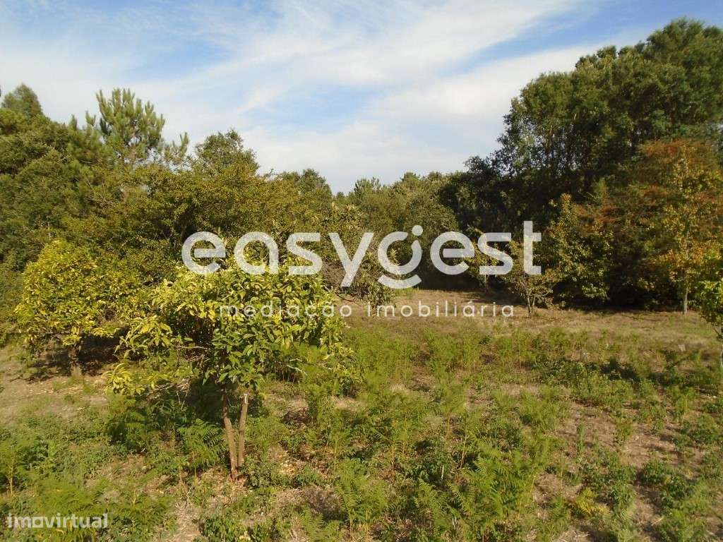 Terreno com 1280m2 para construção na Ferraria de Pataias - Grande imagem: 4/18