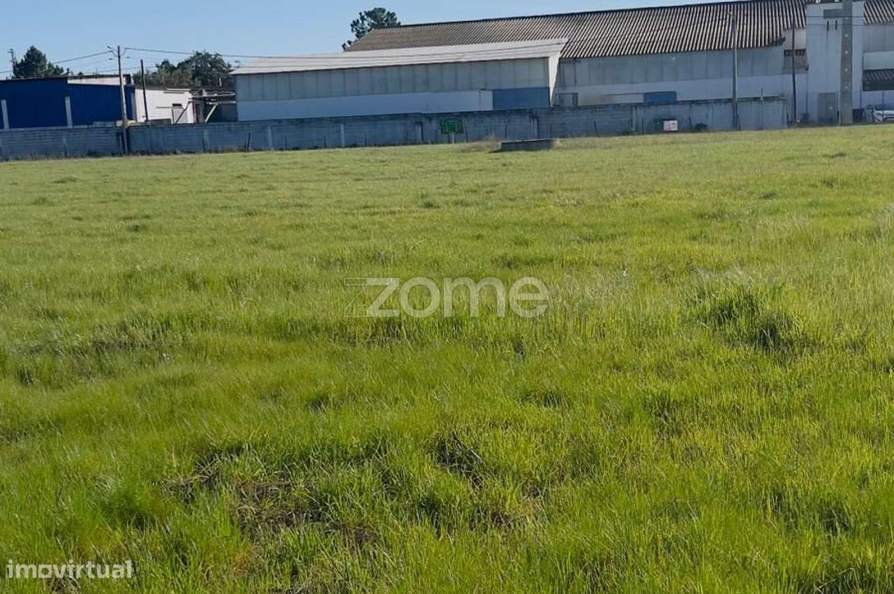 Terreno Rustico | Salvaterra de Magos - Grande imagem: 5/9