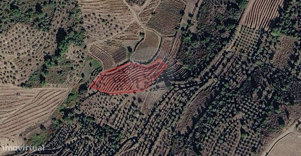 Terreno  para venda-1