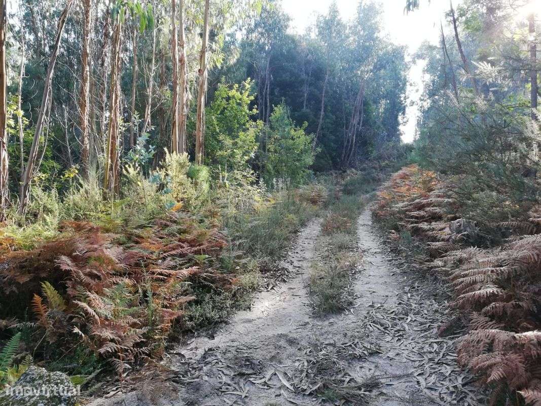 Terreno  para venda - Grande imagem: 2/9