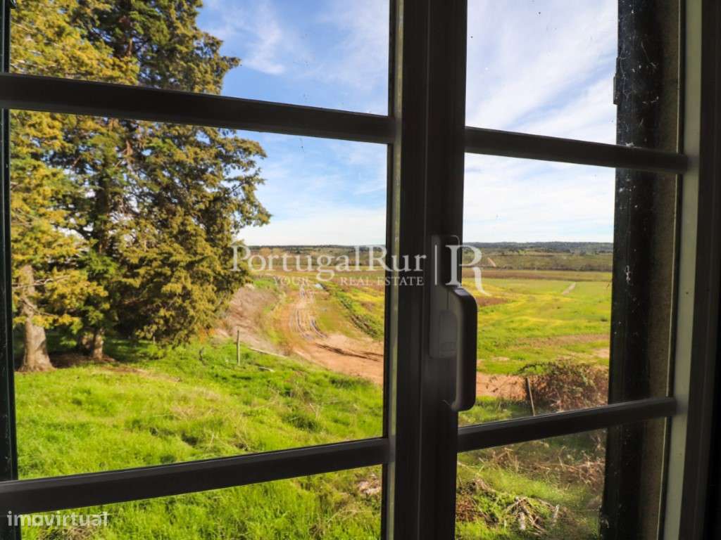 Quinta com casa de habitação T5 e diversas construções-49