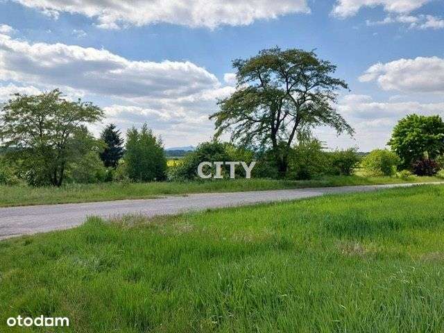 Promocja na jedną działkę/budowlana/gmina Borów - Pełny obrazek: 4/8