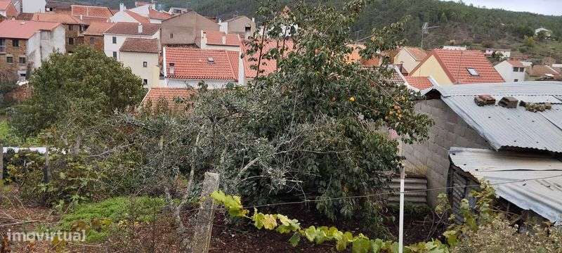 Vivenda com quintal - Grande imagem: 4/4