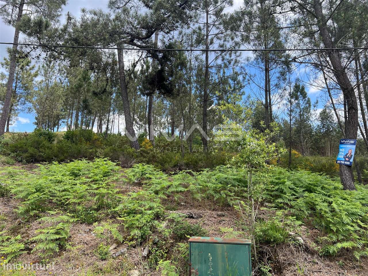 Terreno Para Construção  Venda em Arnóia,Celorico de Basto - Grande imagem: 4/6