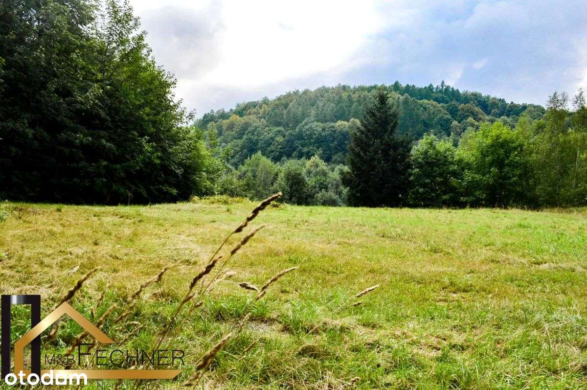 14014m2, w spokojnej części Sosnówki, widok na las - Pełny obrazek: 4/9