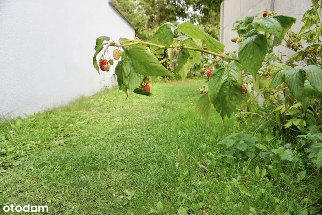 Bliźniak 60 m² z ogrodem – świetna lokalizacja-12