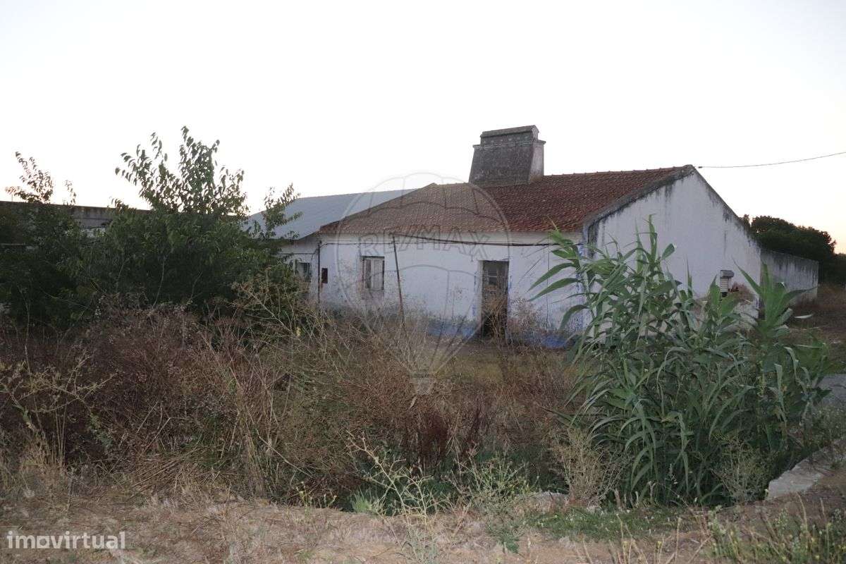 Quinta  para venda - Grande imagem: 2/28