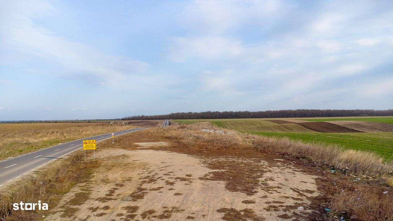 Teren intravilan la asfalt si statie autobuz Ilfov Cernica Posta-12