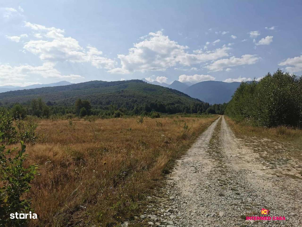 Teren in localitatea Cartisoara - Imagine principală: 5/8