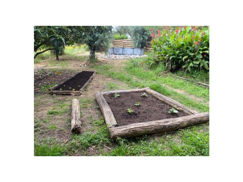 Moradia tipologia T2-32