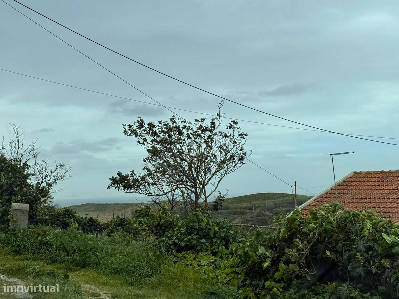 Terreno Rústico, Pêra - Grande imagem: 4/13