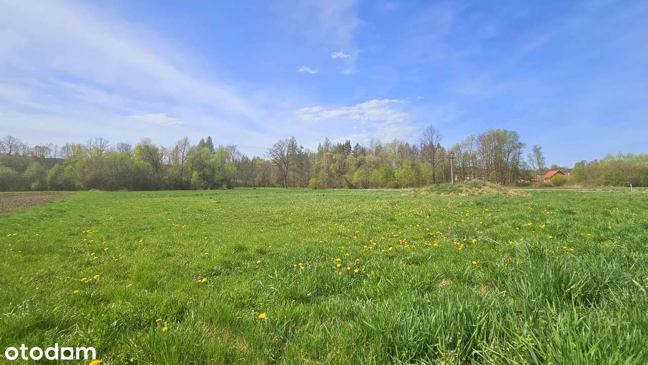 Działka budowlana| 24 ary| Krzyszkowice| 20 min od Krakowa-12