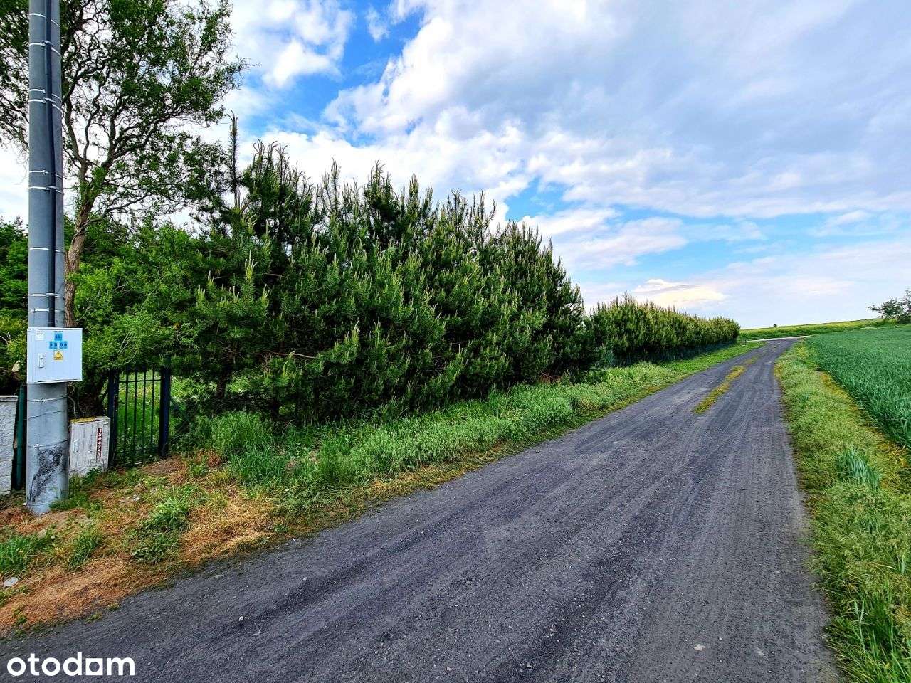 Działka na Zajezierzu - Pełny obrazek: 4/6