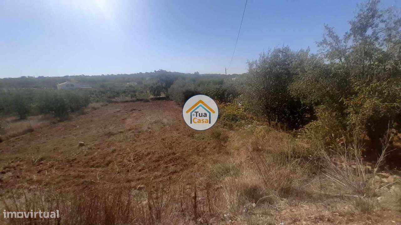Terreno Rústico nos Arredores de São Brás de Alportel - Grande imagem: 2/16