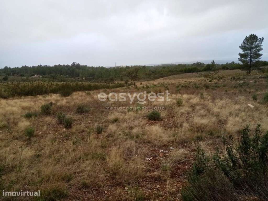 Excelente Terreno Rústico na freguesia de Benquerencas , C. Branco - Grande imagem: 5/16